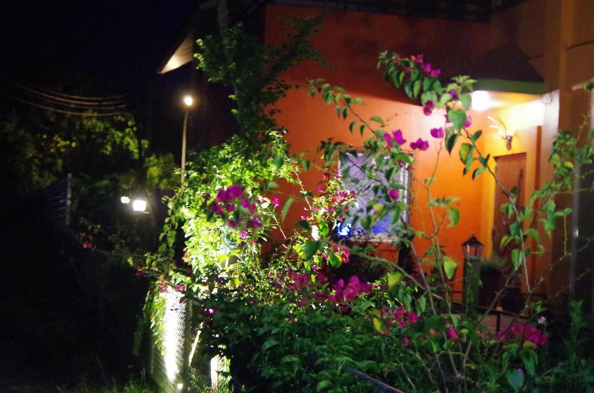 Lung Hill B&B Taitung Ngoại thất bức ảnh